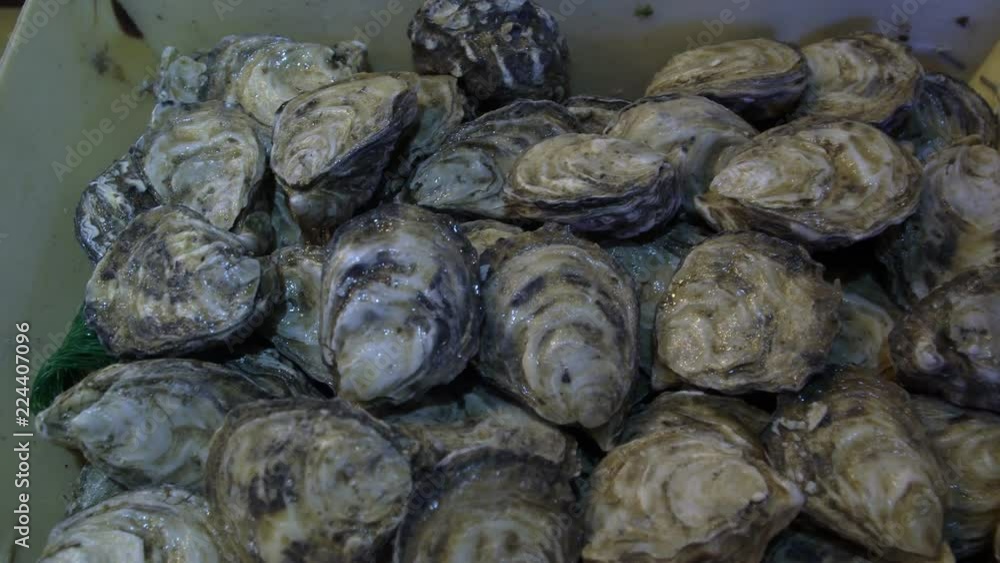 Assortment of Fresh Raw Oysters on Ice Assortment of Fresh Raw Oysters on Ice