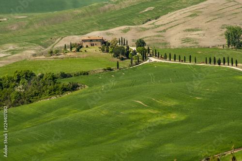Landscape of tuscan countryside in spring