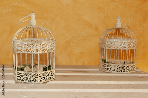 White cages with green grass inside, on white pallet