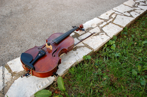 Musical Instrument Viola