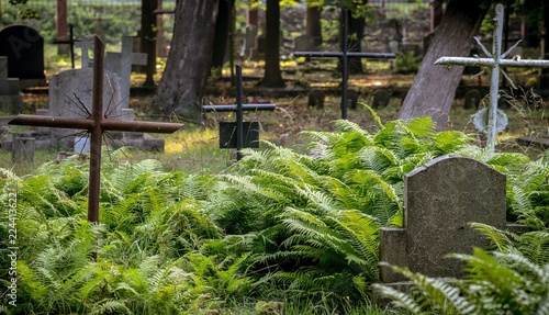 stary zaniedbany cmentarz