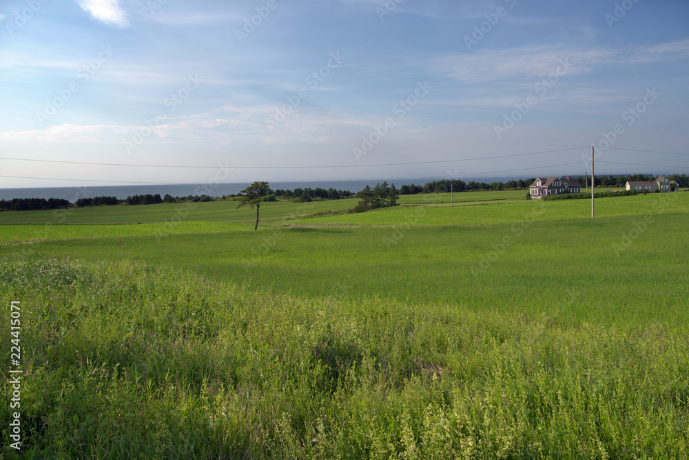 PEI Farm Land Stock Photo Adobe Stock