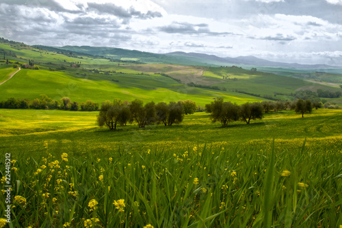 Landscape of tuscan countryside