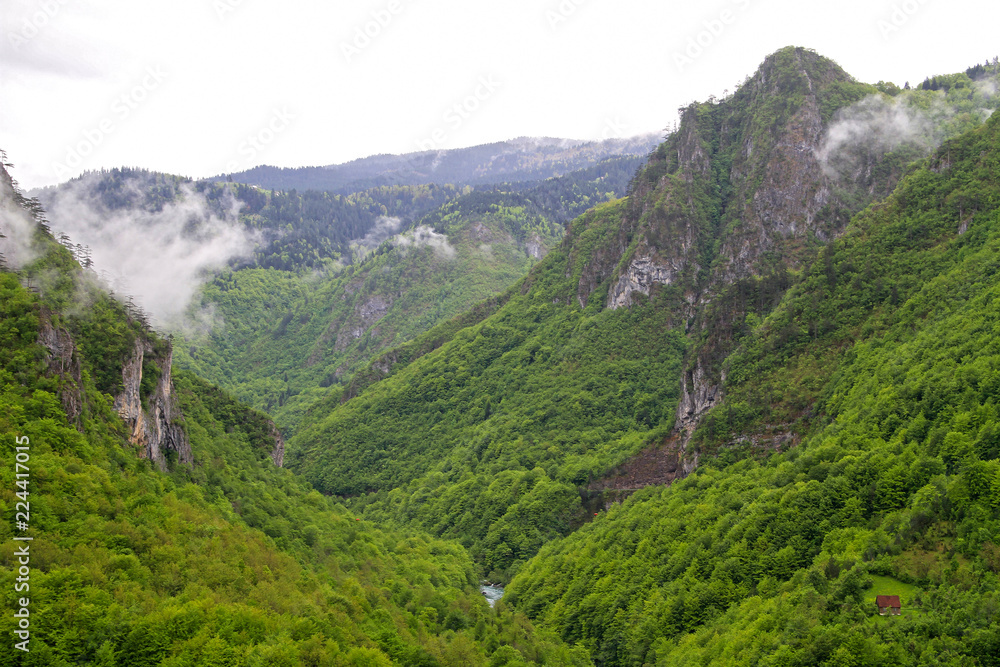 Mountains and clouds. Wild nature beauty, Tara canyon, Montenegro