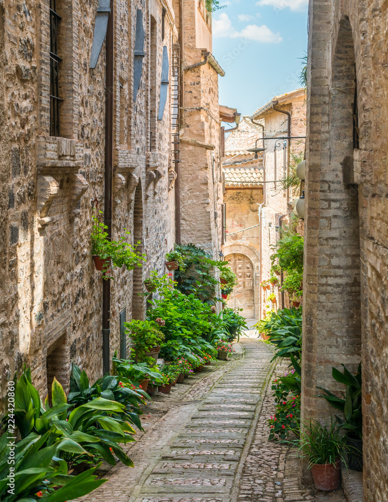 Fototapeta premium Scenic sight in Spello, flowery and picturesque village in Umbria, province of Perugia, Italy.