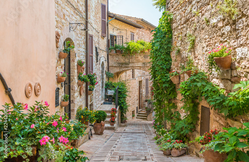 Fototapeta Sceniczny widok w Spello, kwiaciastej i malowniczej wiosce w Umbria, prowincja Perugia, Włochy.