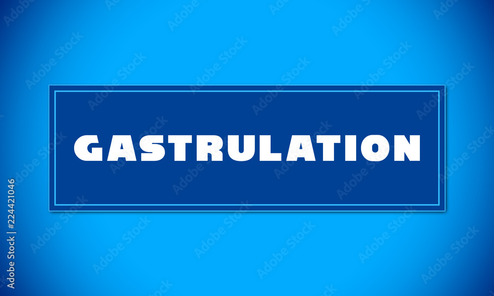 Gastrulation - clear white text written on blue card on blue background Gastrulation - clear white text written on blue card on blue background