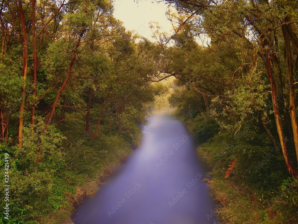 Obraz premium River Opava flowing between tree branches at summer evening