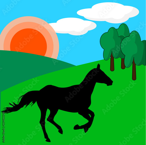 Horse on green meadow in the rolling hills under the sun