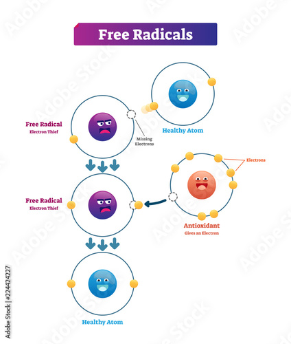 Free radicals, antioxidant and healthy atom explanation vector illustration diagram photo