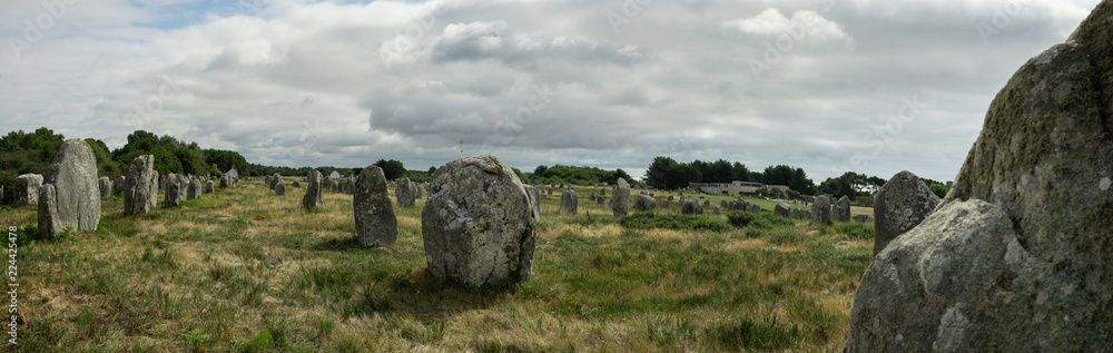 Une vue panoramique sur un champs de menhirs, site archéologique de Carnac