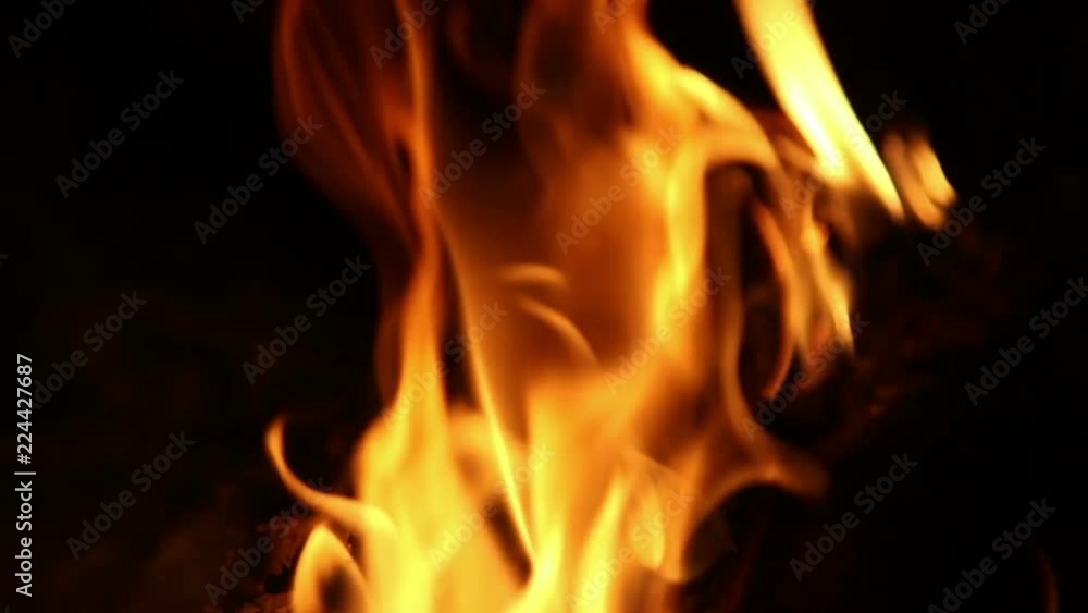 Bonfire at night, close up, nature background
Bonfire at night, close up, nature background