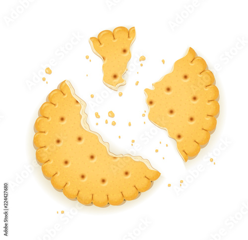 Delicious round biscuit. Sweet cookie. Cookies. Realistic