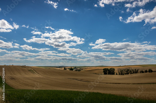 Fields in the vicinity of Svatobořice and Mistrin during the summer days before harvesting cereals. A gorgeous sky full of clouds, the paths that go between the field and the meadows. This area where  photo