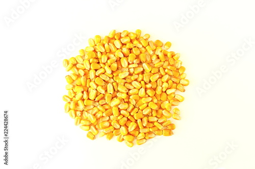 sweet golden corn grain seeds isolated on white background