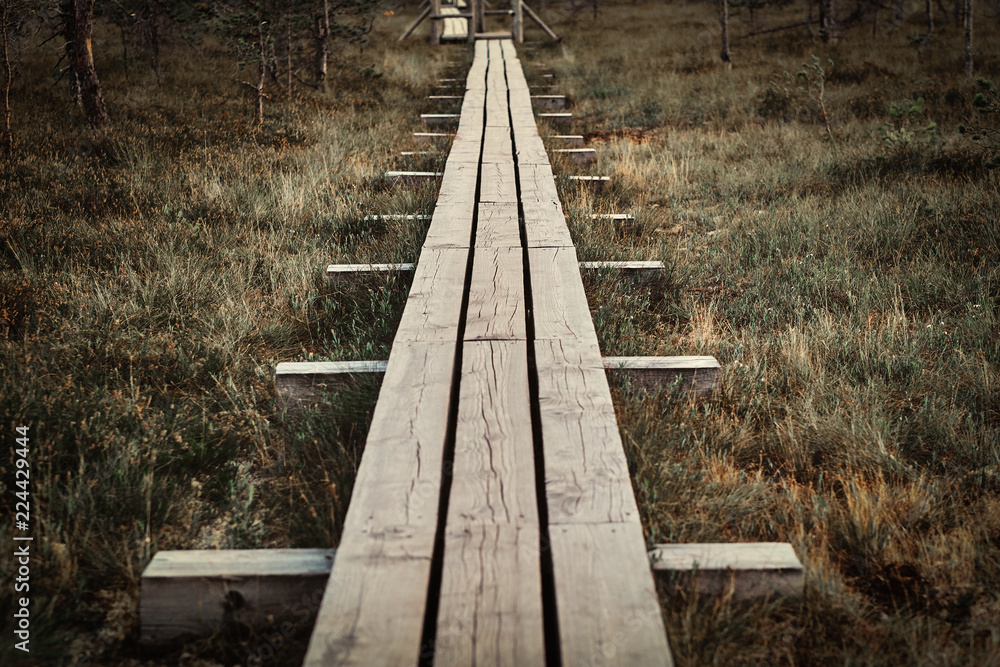 Wooden footpath on a beautiful autumn meadow in forest. Wooden footpath on a beautiful autumn meadow in forest.