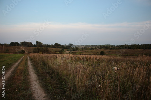 road in the field