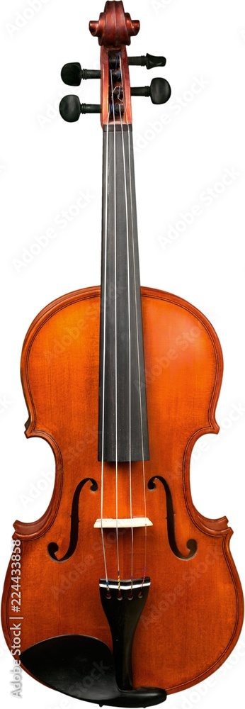 Fototapeta premium Single Violin - Isolated