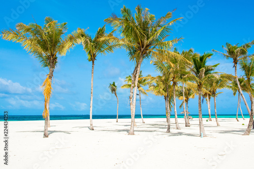 Beautiful sandy beach landscape, Maldives