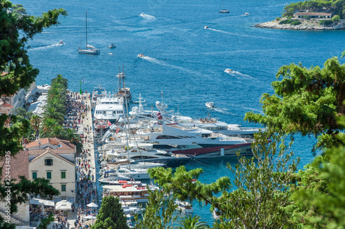 Port in Hvar, Croatia. A town with a rich history. Waterfront promenade with a row of palm trees. View from fortress Spanjola. © Jakub Rutkiewicz