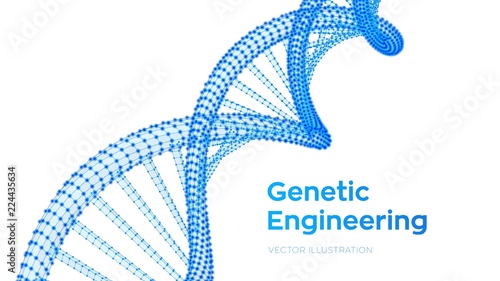 DNA sequence. Wireframe DNA molecules structure mesh. DNA code editable template. Science and Technology concept. Vector illustration.