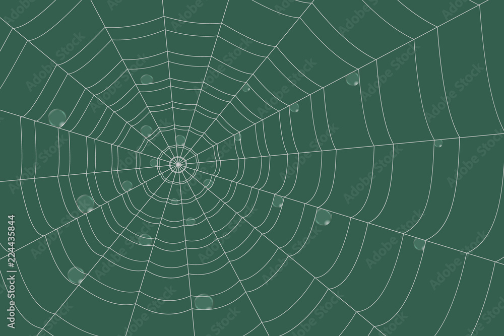 dew on a grid of concentric cobweb on green background