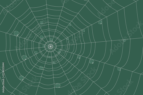 dew on a grid of concentric cobweb on green background