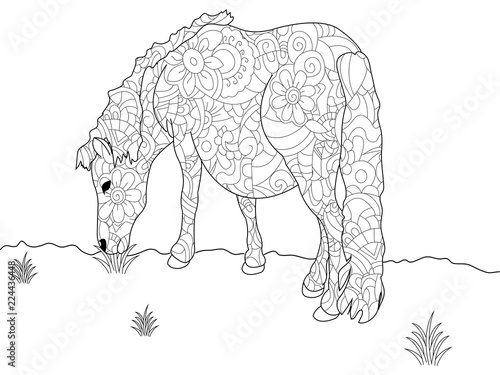 Fototapeta Naklejka Na Ścianę i Meble -  Anti stress coloring book pony. Horse doodle style. Black lines, white background raster