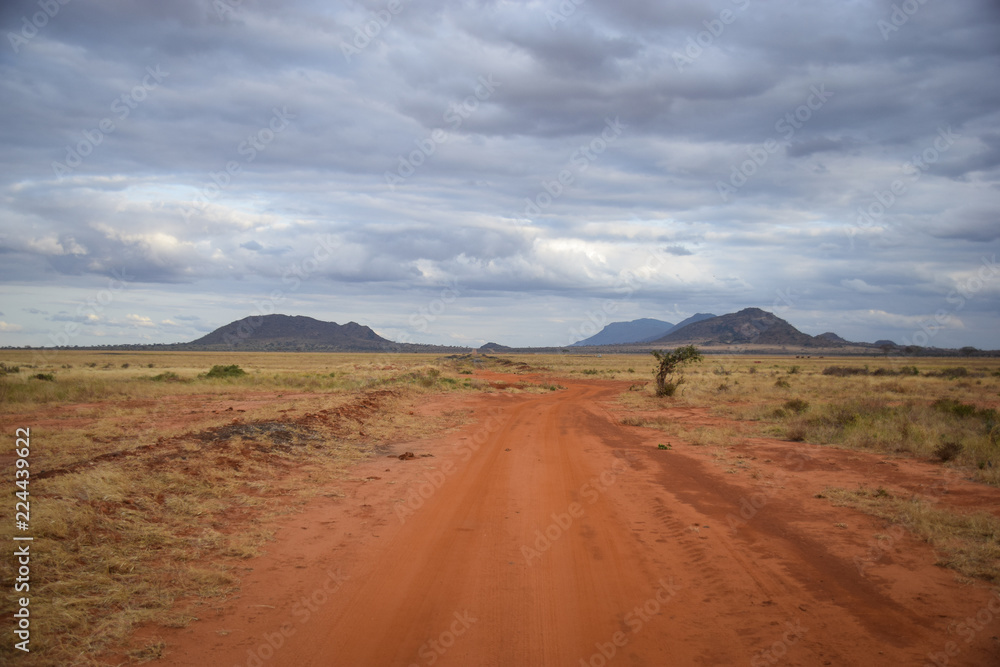 Tsavo East Kenya, Baum, National Park, Savanne, Wüste, Berge