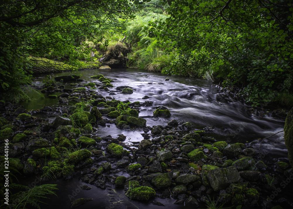 Obraz premium Stormy river