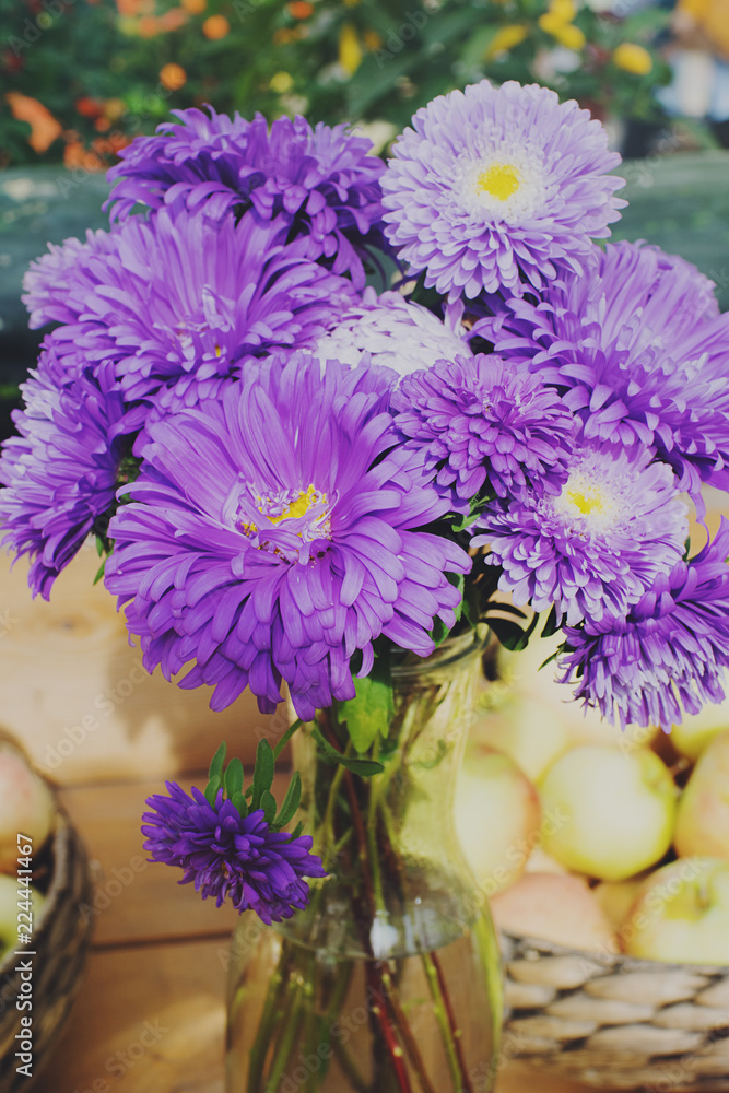 Fresh colorful chrysanthemums on seasonal farmer`s market, golden-daisy, autumn flowers, selective focus