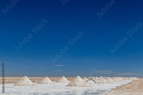 Petit tas de sel align  s dans le d  sert de sel de Bolivie Uyuni