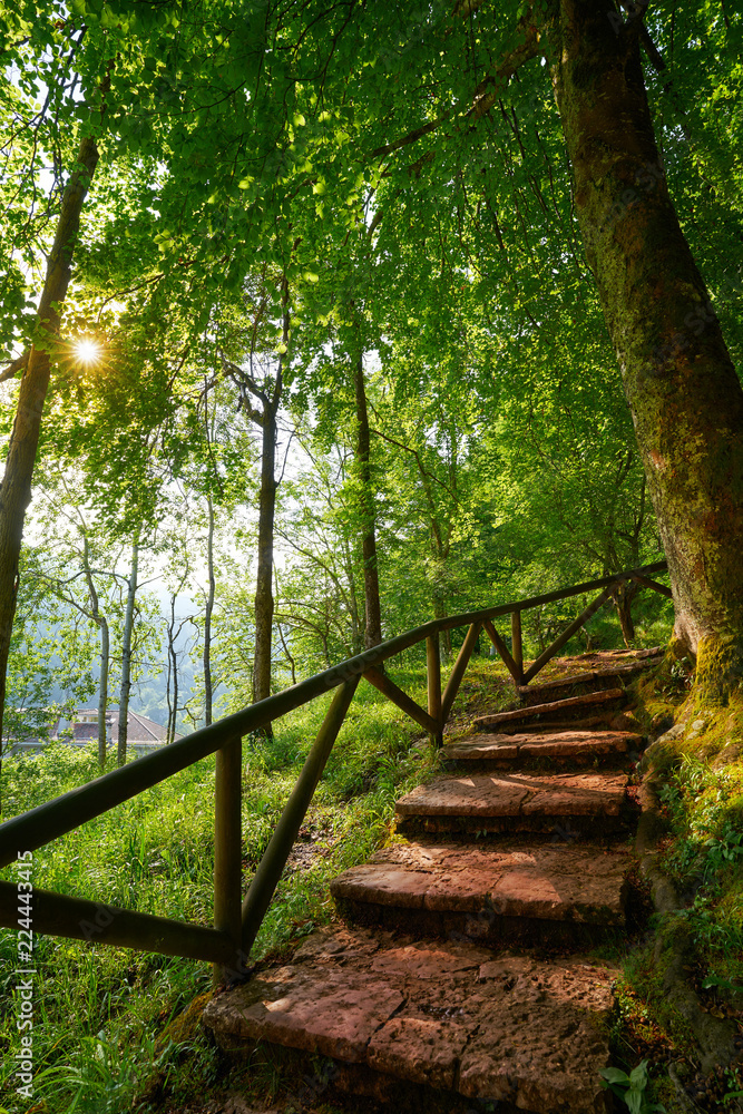 Covadonga forest stairs in Asturias Picos Europa Covadonga forest stairs in Asturias Picos Europa