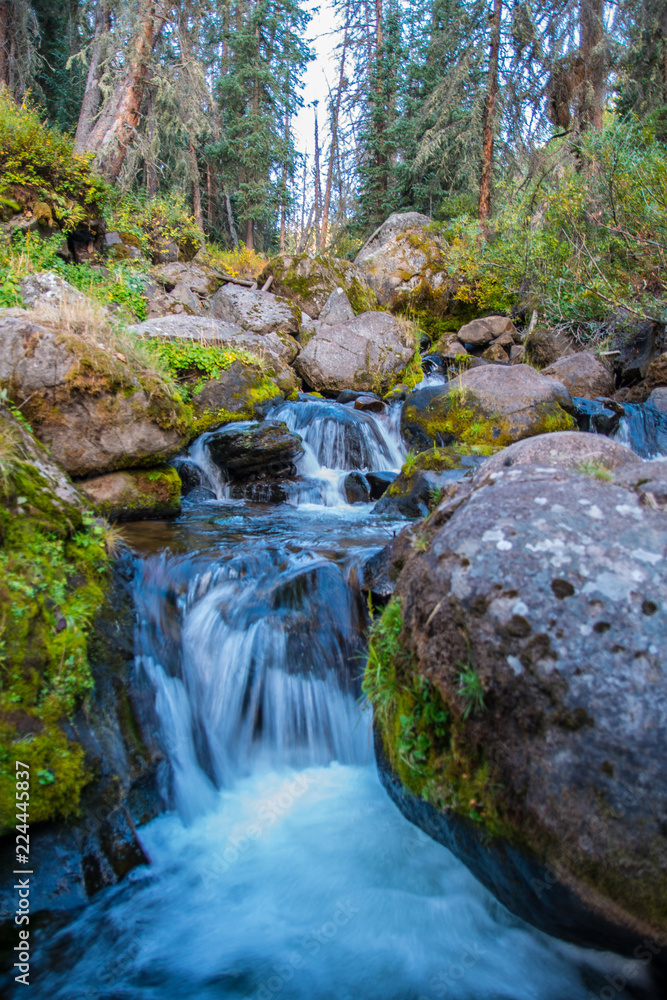 Fototapeta premium waterfall in the forest