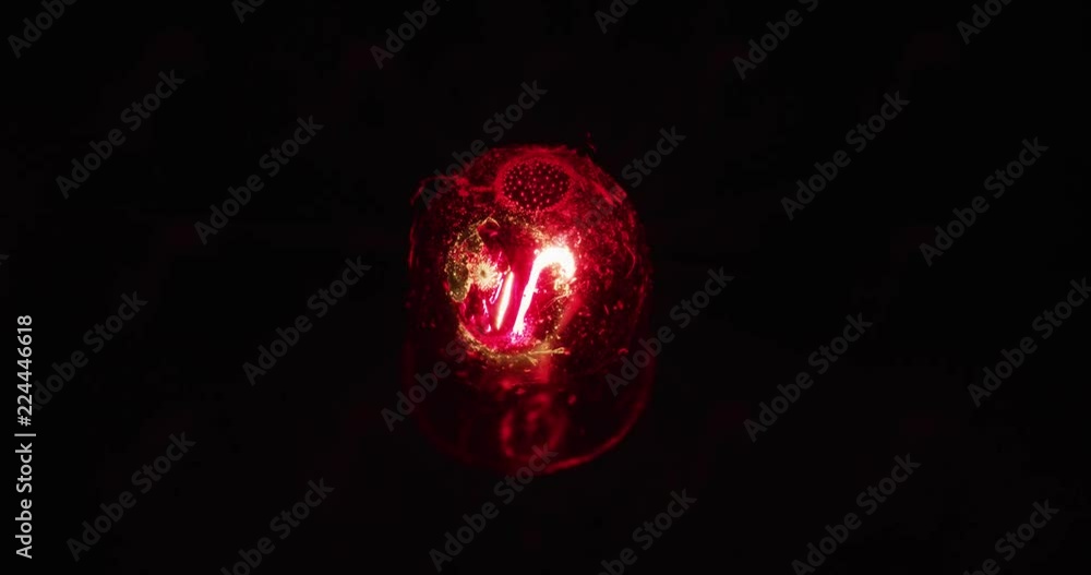 Red light extreme macro shot