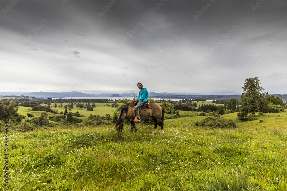 Amazing horse walk along the meadows close to Rupanco Lake on a wonderful green grass with amazing landscapes from the South of Chile Amazing horse walk along the meadows close to Rupanco Lake on a wonderful green grass with amazing landscapes from the South of Chile