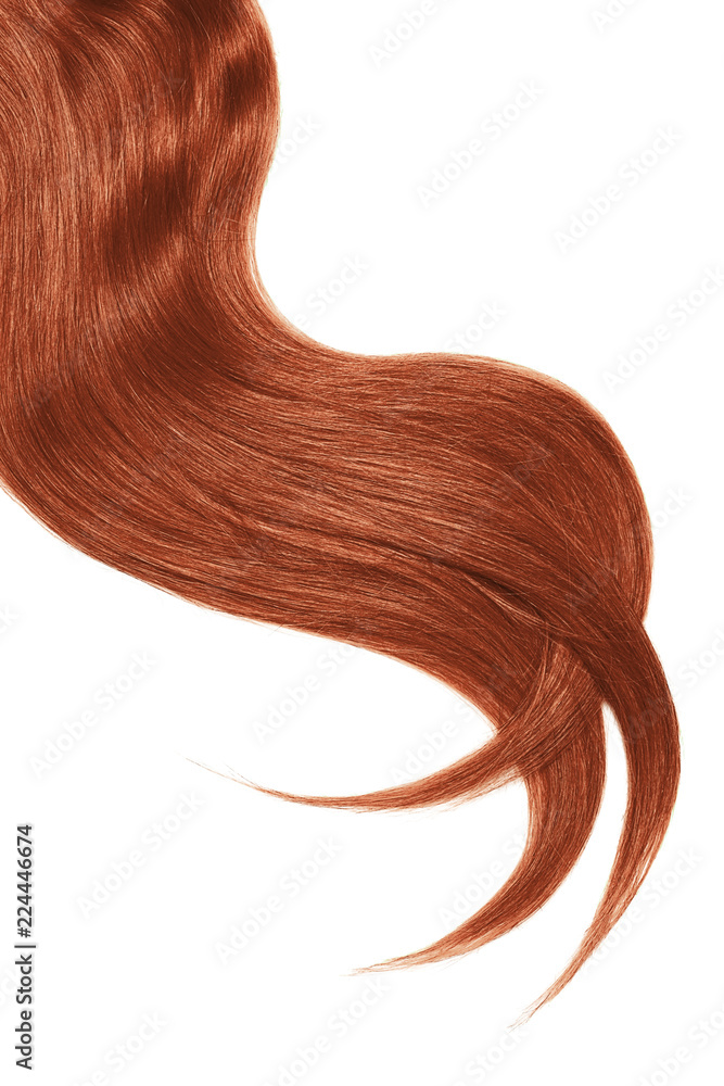 Curl of natural henna hair on white background. Wavy ponytail