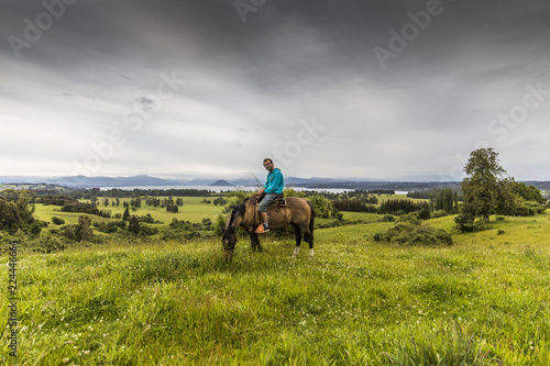 Amazing horse walk along the meadows close to Rupanco Lake on a wonderful green grass with amazing landscapes from the South of Chile © abriendomundo