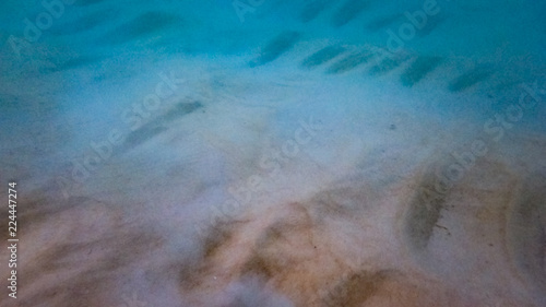 Obraz na płótnie Looking at the Sands of the Shallow Ocean Floor in Phuket Thailand w salonie