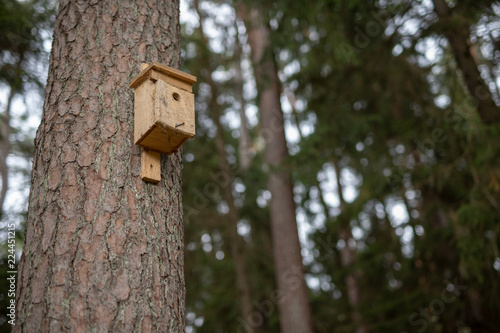 A new bird feeder suspended on a tree. Birdhouse in a nature reserve in Central Europe.