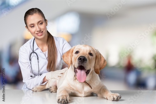 Beautiful young veterinarian with a dog on