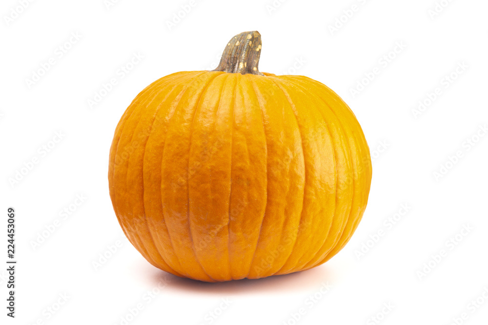 Obraz premium Single Large Orange Pumpkin on a White Background