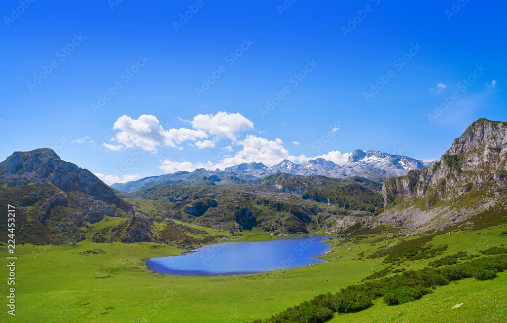 Ercina lake at Picos de Europa in Asturias Spain