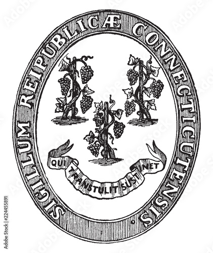 The state seal of Connecticut, vintage illustration