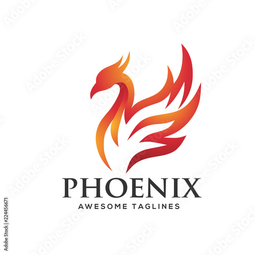 luxury phoenix logo concept, best phoenix bird logo design