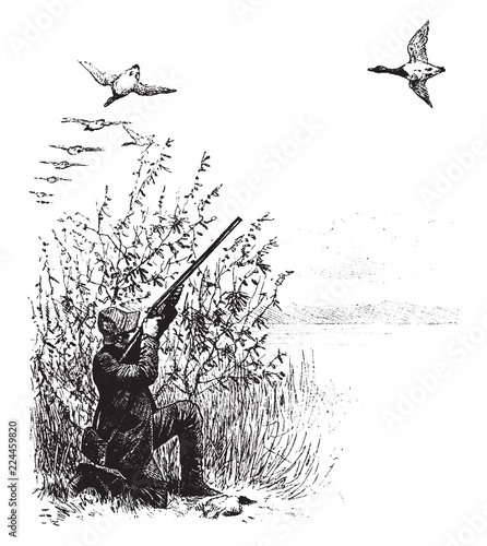 Geese Hunting vintage illustration.