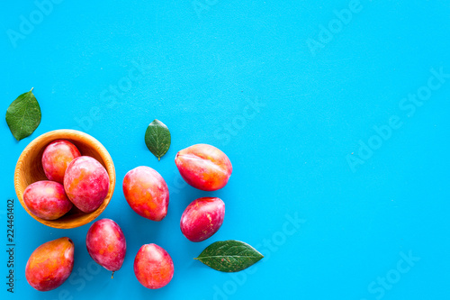 Summer harvest of red plum.  Red plum and leaves pattern on blue background top view space for text