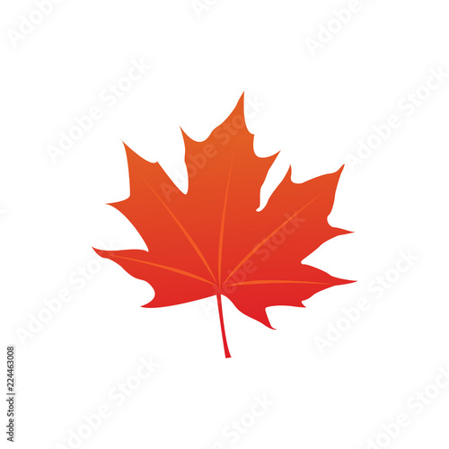 maple leaf logo icon design template vector