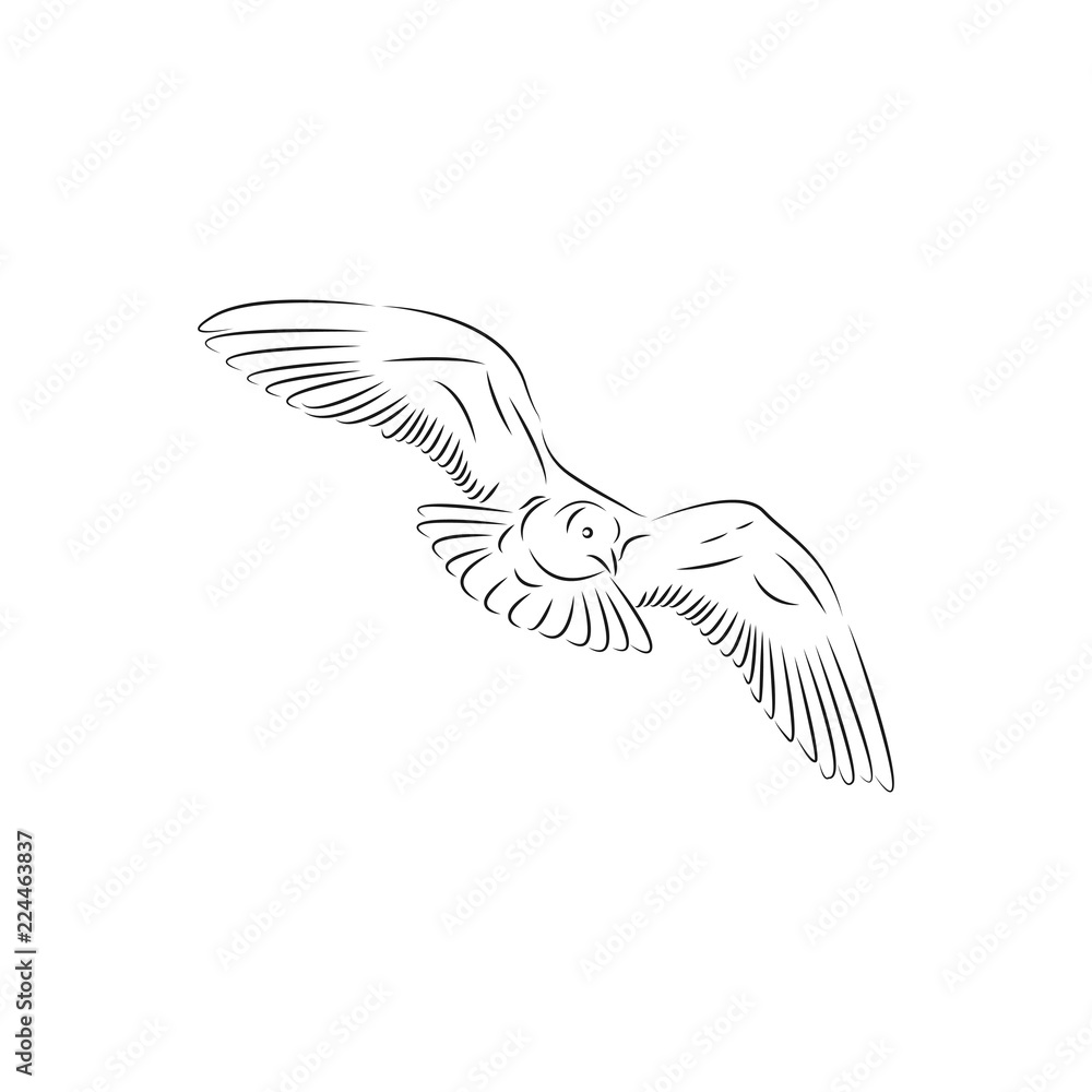 bird graphic design vector bird graphic design vector