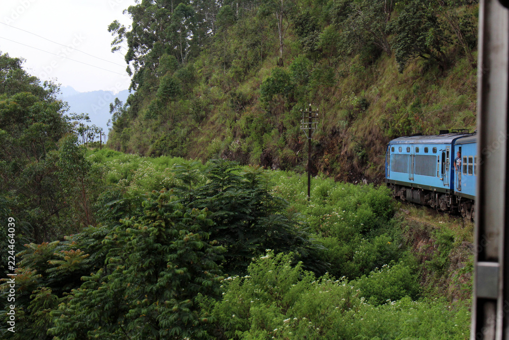 The blue train passing green tea plantation along the way on the scenic train to Ella.